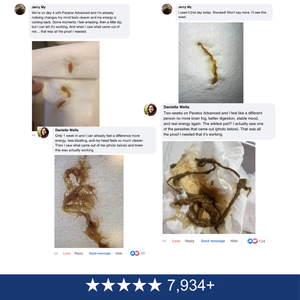The Viral Gut Cleanse - v3.2