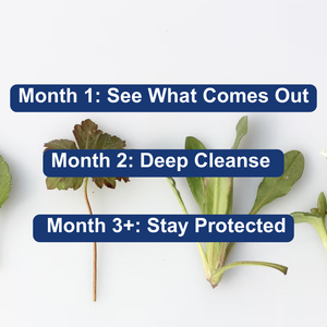 The Viral Gut Cleanse - v3.2