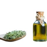 Oregano Oil - Microbial Balance Support