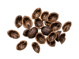 Black Walnut Hull - Gut Cleansing Support