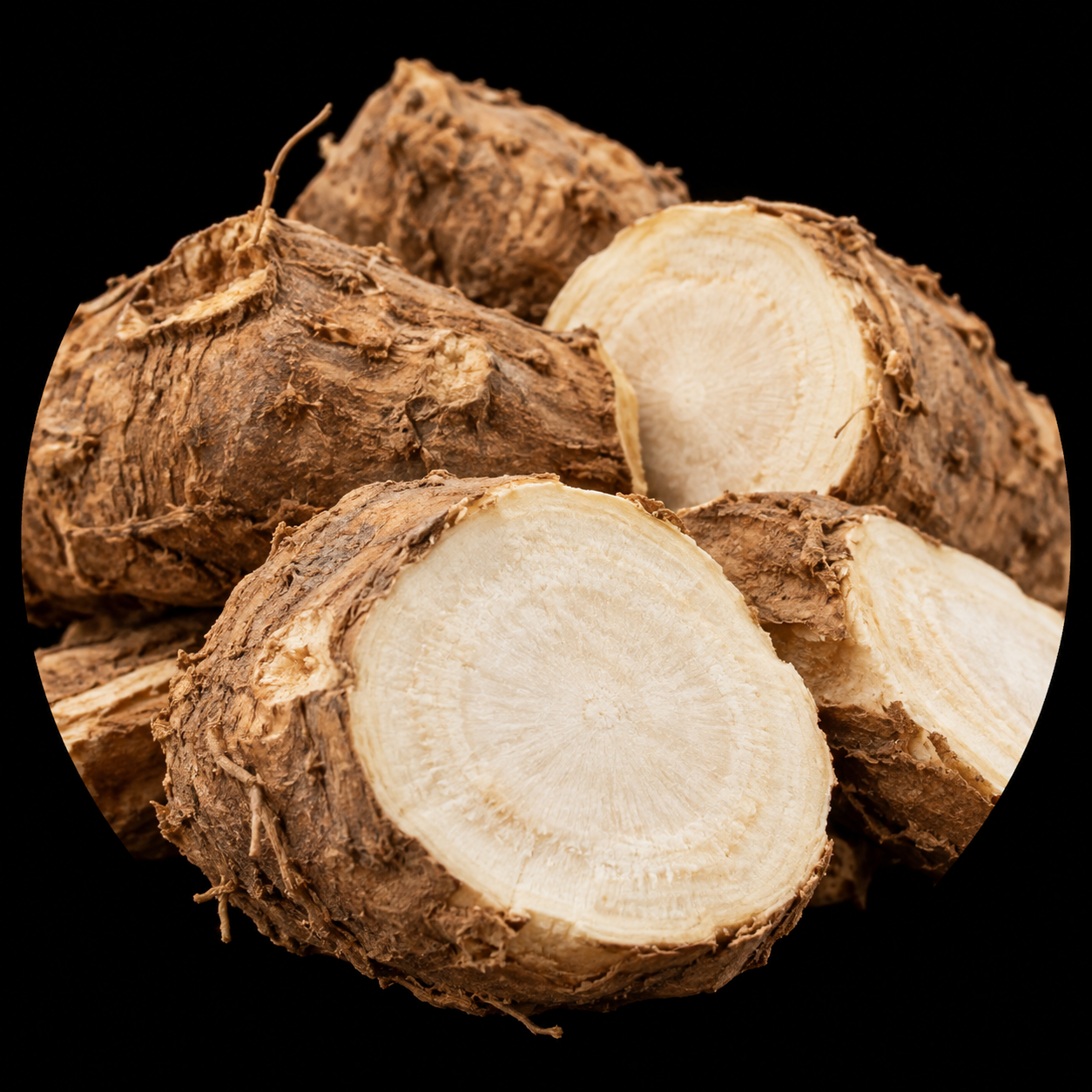 Pueraria